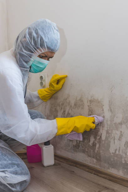 Best Indoor Air Quality Assessment  in Krugerville, TX