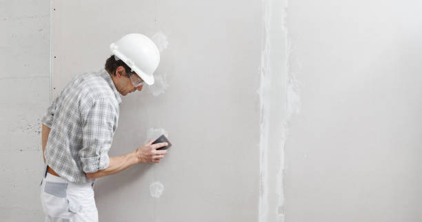Best Basement Mold Removal  in Krugerville, TX