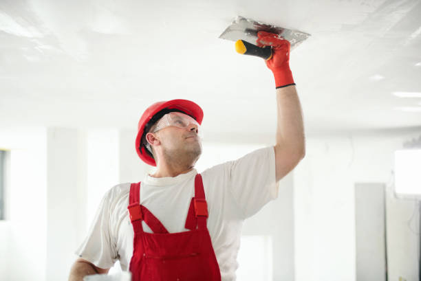 Best HVAC Mold Inspection and Cleaning  in Krugerville, TX