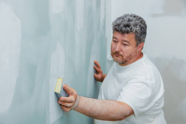 Best Residential Mold Inspection & Testing  in Krugerville, TX