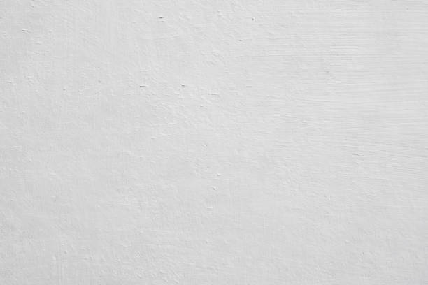 Professional Mold Removal in Krugerville, TX