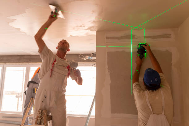 Best Post-Construction Mold Inspection  in Krugerville, TX