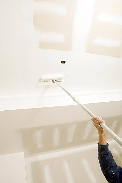 Best Environmental Consulting for Mold Prevention  in Krugerville, TX