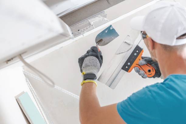 Trusted Krugerville, TX Mold Removal Experts